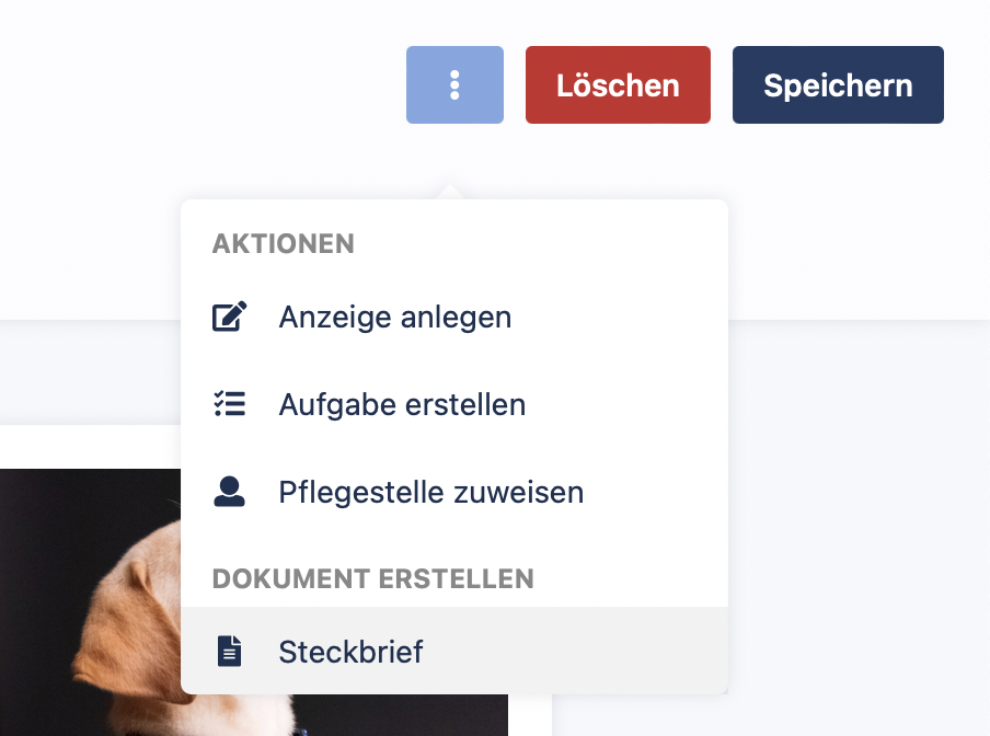 Dokumente in petoffice erzeugen