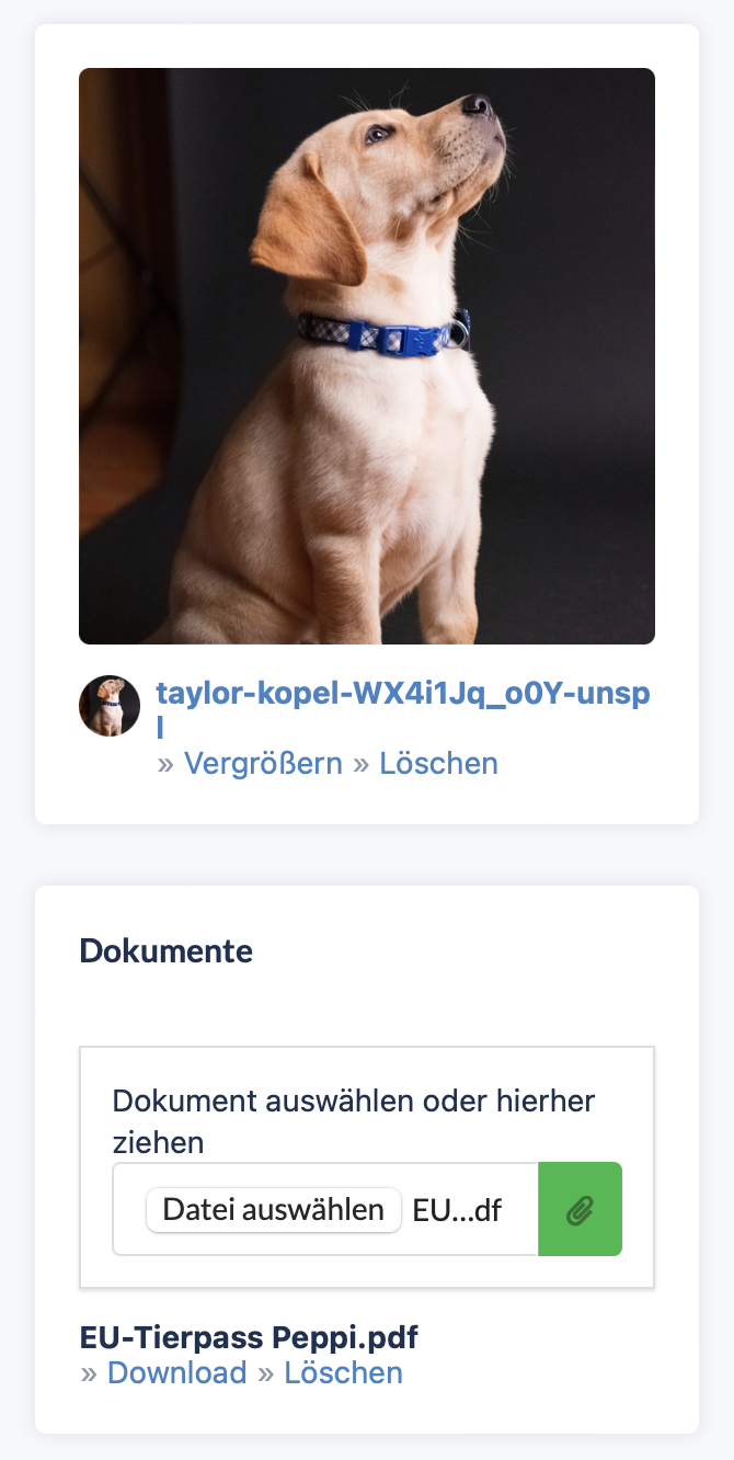 Bilder und Dokumente in petoffice